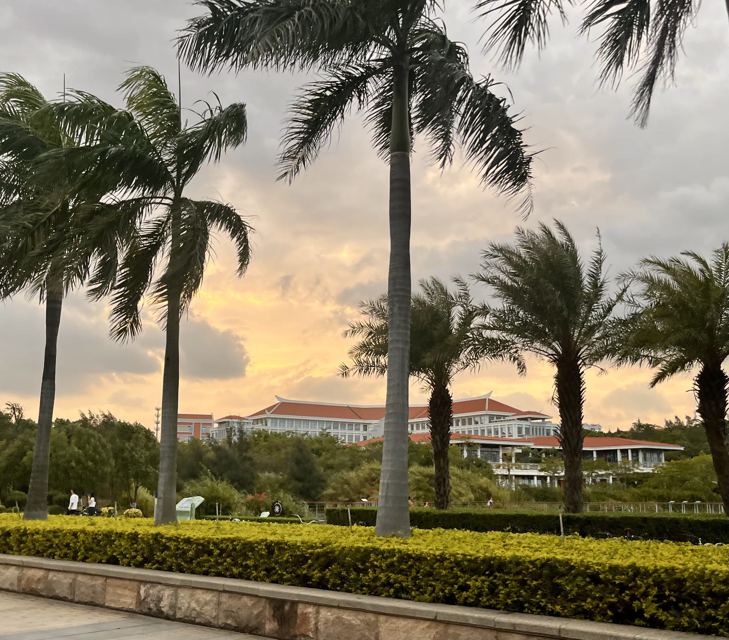 图书馆门口的路上